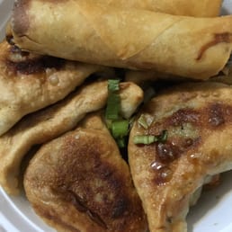 Fried Vegetable Dumplings & Spring Rolls  7-20-2016