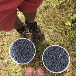 H.I. Bar Farms