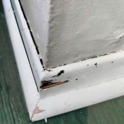 Mth Management - MTH Management Rolling Meadows. There were bedbugs and rodents living in the wall. I was instrumental in their loss of Section 8 Housing.