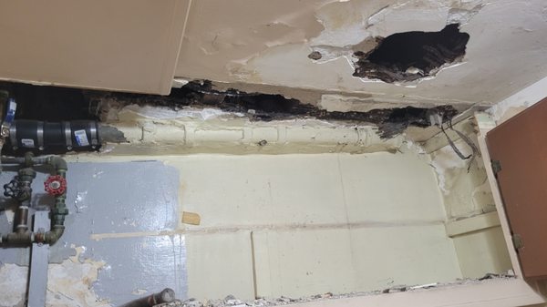 Absolute Plumbing Logo