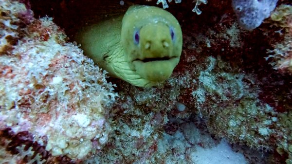 Islamorada Dive Center by null