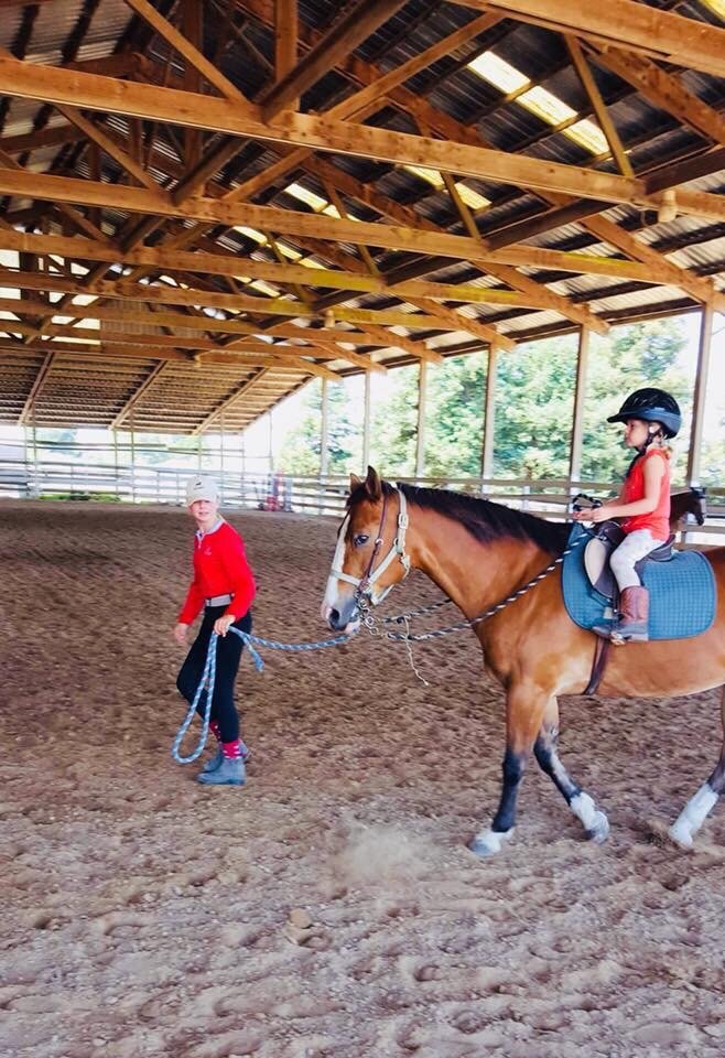 WINE COUNTRY SPORTHORSE Updated June 2024 5796 Blank Rd, Sebastopol