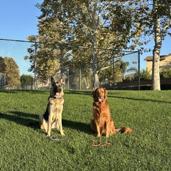 Off Leash K9 Training  - Pet Training Near Me - Murrieta, California