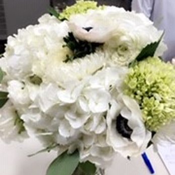 Reno Wholesale Flowers - Wholesalers Near Me - Sparks, Nevada Reno Wholesale Flowers - Wholesalers Near Me - Sparks, Nevada