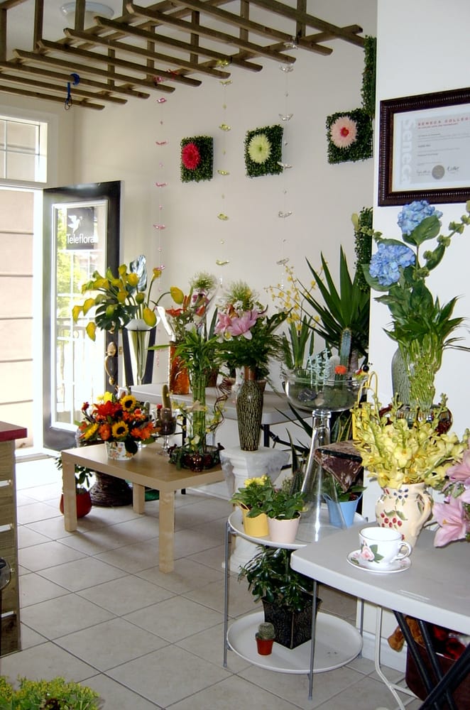 QUEENS FLOWERS Updated September 2024 956 The Queensway, Etobicoke