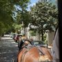Photo of Old South Carriage Company