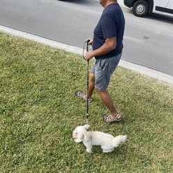 Millos Lawn Services - The doggie loves it too