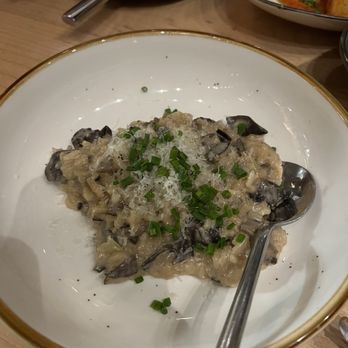 Catalú - Arroz Con Setas Dinner - Spanish Near Me - Charlotte, North Carolina