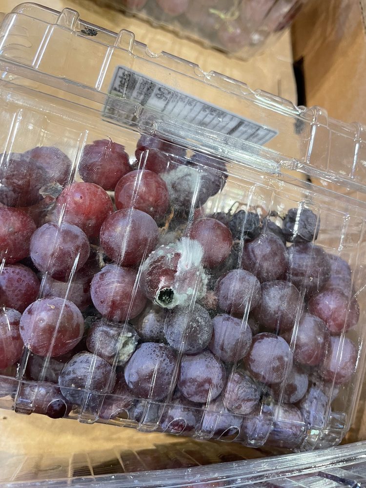 Stop & Shop - THESE GRAPES WERE ON THE SALES FLOOR!! - food - Grocery Near Me - Baldwin, New York Stop & Shop - THESE GRAPES WERE ON THE SALES FLOOR!! - food - Grocery Near Me - Baldwin, New York