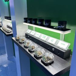 Green Cloud Collective - Display/Showroom