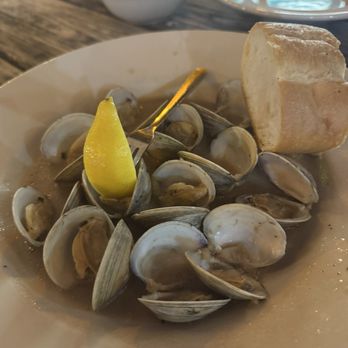 Shells Seafood - Steamed Clams - Seafood Near Me - St. Pete Beach, Florida