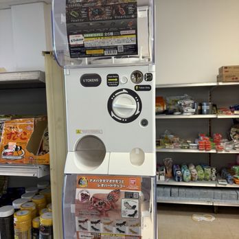 Coco Sakula Japanese Grocery Store - Gacha machine - International Grocery Near Me - Cincinnati, Ohio