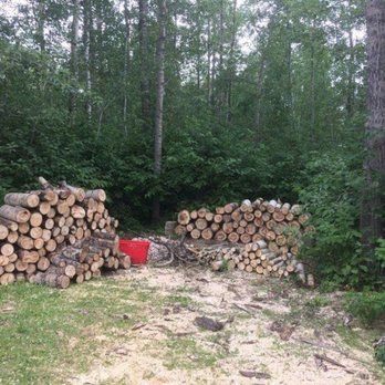Chickadee Tree Care - Tree Services Near Me