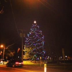 Guilford Town Green - Christmas tree