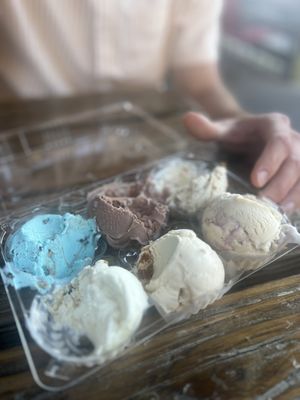 Holy Cow Creamery by null