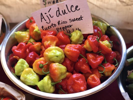 Viejo San Juan Farmers Market by null