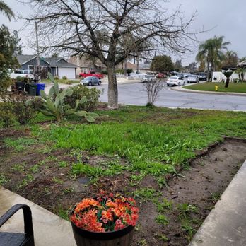 Diego’s Landscaping & Tree Care Services - before and after - Landscaping Near Me Diego’s Landscaping & Tree Care Services - before and after - Landscaping Near Me