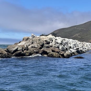 SLO Tours - Boat Tours Near Me - San Luis Obispo, California SLO Tours - Boat Tours Near Me - San Luis Obispo, California