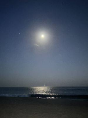 Limantour Beach by null