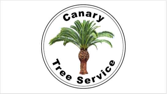 Canary Tree Service - tree service in Jacksonville, FL