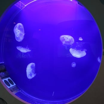Discovery World - Children's Museums Near Me - Milwaukee, Wisconsin