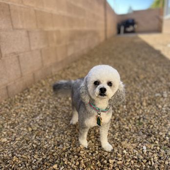 Petco - Pet Stores Near Me - Las Vegas, Nevada Petco - Pet Stores Near Me - Las Vegas, Nevada