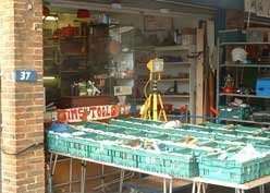 Brighton City Open Market by null
