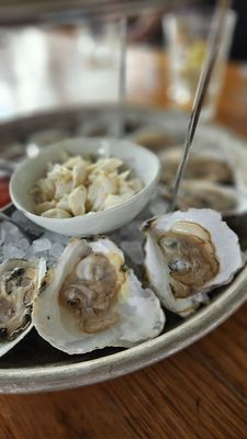 Brix + Brine by null