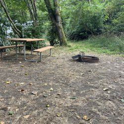 Astoria / Warrenton / Seaside KOA - August 1, 2025 - One of the better campsites.