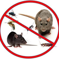 All Brevard Lawn & Pest