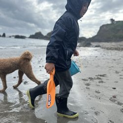 Chetco Point