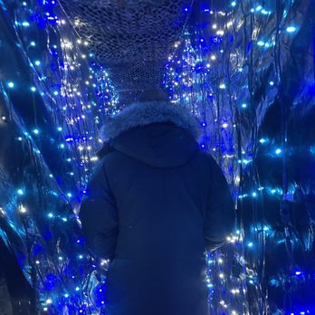 WINTER CITY LIGHTS - Updated November 2025 - 108 Photos & 30 Reviews - 4501 Olney Laytonsville