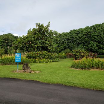 Mauna Loa Macadamia Nut - Chocolatiers & Shops Near Me - Keaau, Hawaii Mauna Loa Macadamia Nut - Chocolatiers & Shops Near Me - Keaau, Hawaii