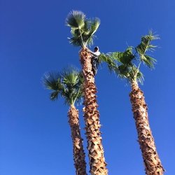 Four Seasons Landscaping Cons.