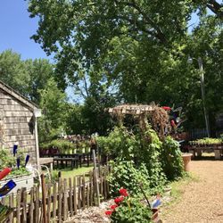 Garden Patch
