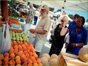 Govans Farmers' Market by null