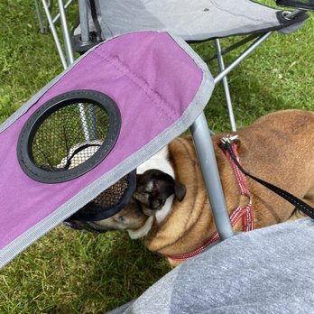 Murphy Park - GB does a great job maintaining the parks in town. Hey if u have a dog, pick up the pooo! - Parks Near Me - Green Bay, Wisconsin