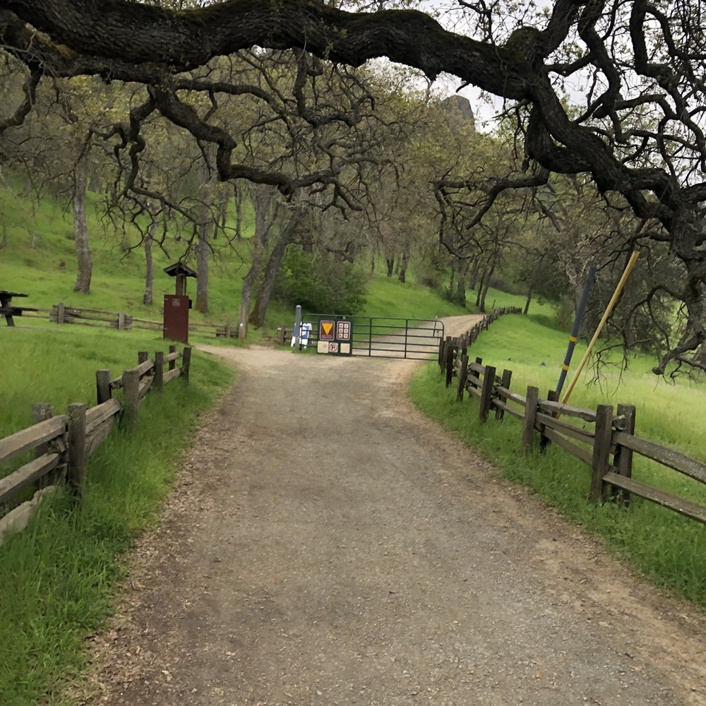 Mount Diablo State Park - So green! - Parks Near Me - Clayton, California