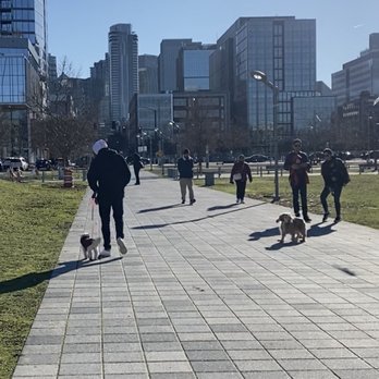 Leaps N Bounds K9 - Our pup on the left. Easy and calm walk, even with a dog approaching - Pet Training Near Me Leaps N Bounds K9 - Our pup on the left. Easy and calm walk, even with a dog approaching - Pet Training Near Me