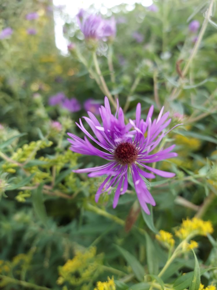 WHISPERING WILLOW ACRES Updated June 2024 14 Photos 5190 Lincoln