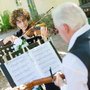 Photo of Music by Daphna
