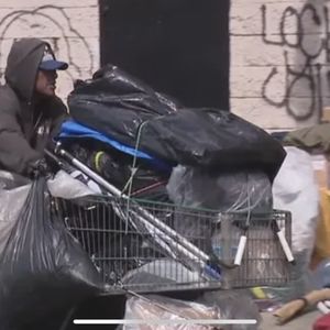 D’ELIA’S GRINDERS - 288 Photos & 930 Reviews - 2093 University Ave