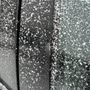 Photo of Thru-Way Autoglass