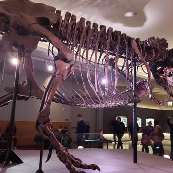 Field Museum - Museums Near Me - Chicago, Illinois