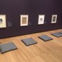 Photo of Krannert Art Museum