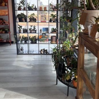 Flora Coffee - Coffee & Tea Near Me - Rock Hill, South Carolina Flora Coffee - Coffee & Tea Near Me - Rock Hill, South Carolina
