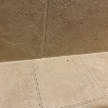Sir Grout Dallas Fort Worth - 1/2025. Bathroom coat is holding up better than initial work done summer 2024 but spots of mold occur weekly. - Flooring Near Me - Dallas, Texas Sir Grout Dallas Fort Worth - 1/2025. Bathroom coat is holding up better than initial work done summer 2024 but spots of mold occur weekly. - Flooring Near Me - Dallas, Texas