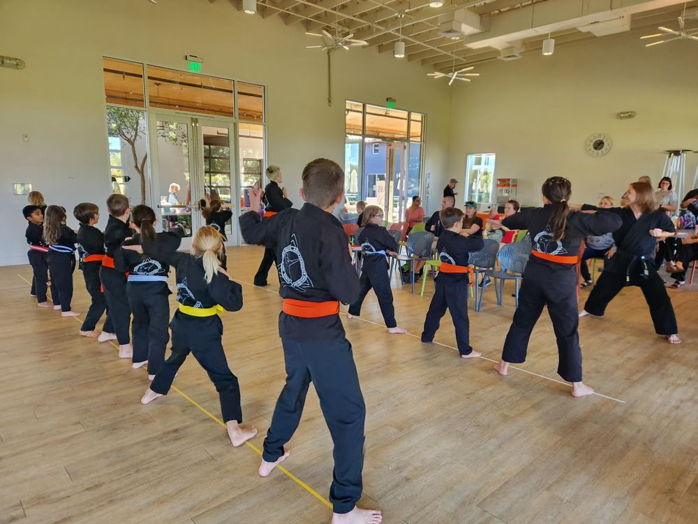 Titans Martial Arts Academy Logo