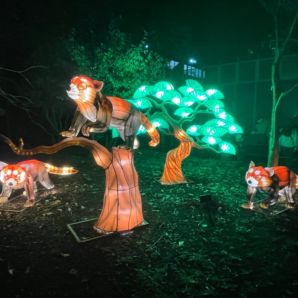 ZooLights - Zoos Near Me - Washington, DC, District of Columbia