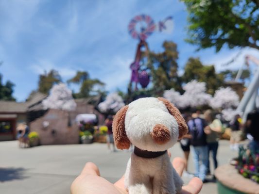Knott's Berry Farm by null